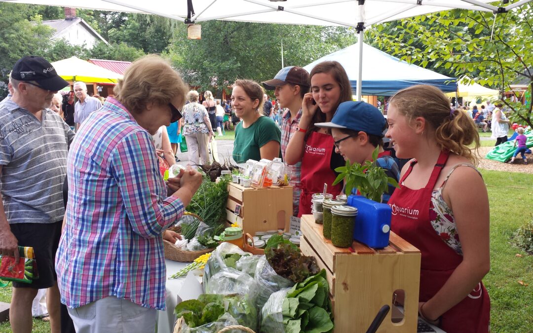 Un marché hautement médiatisé pour les jeunes de Croc’délice