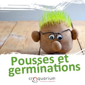 Croquarium-PetitCarre-PRES-PoussesGerminations