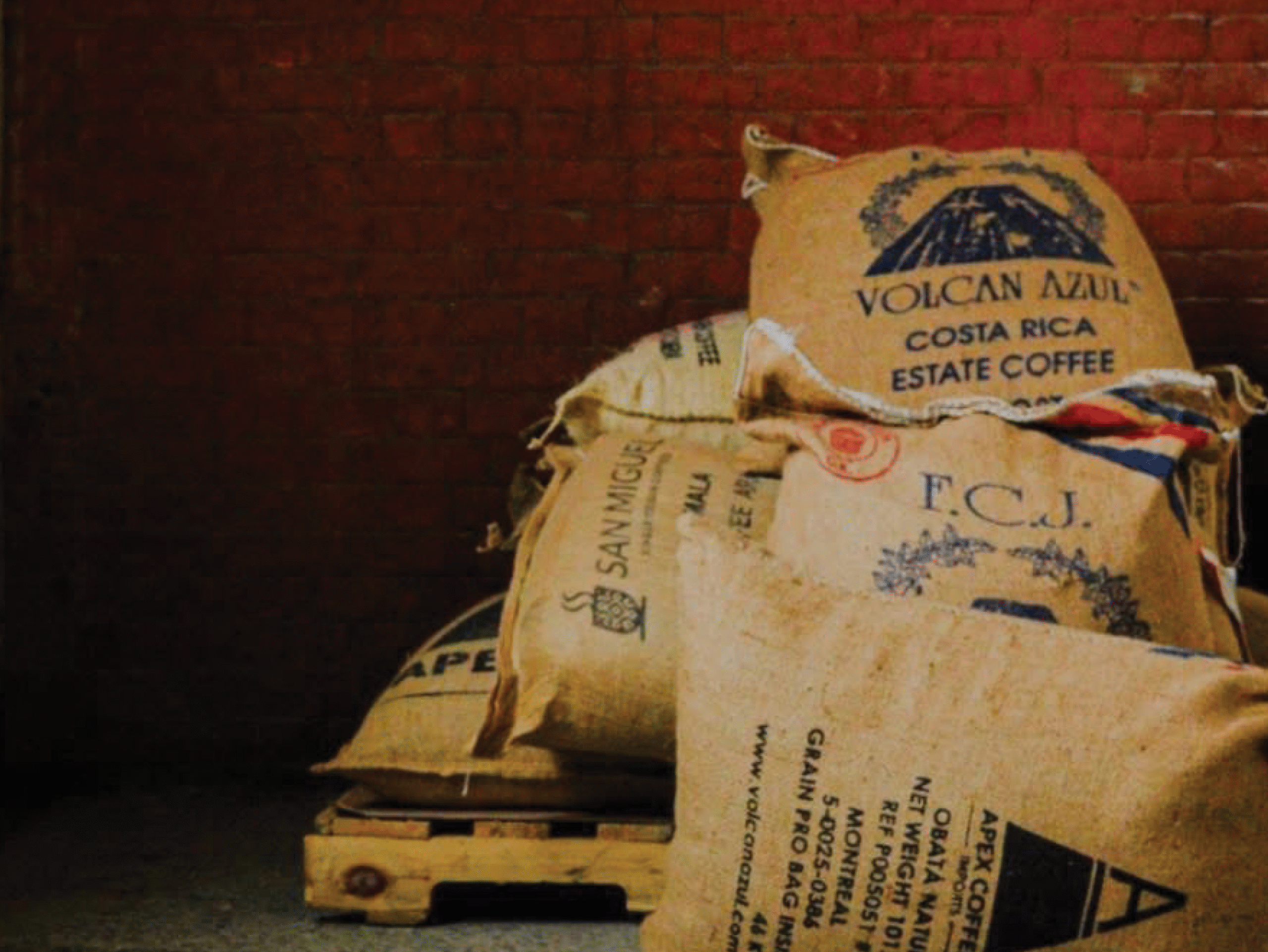 Découvrez différentes manières d’infuser le café avec Alberto Navarro de KAAPEH | Atelier culinaire | Saveurs & découverte | Maison Croquarium